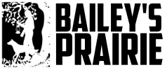 Bailey's Prairie